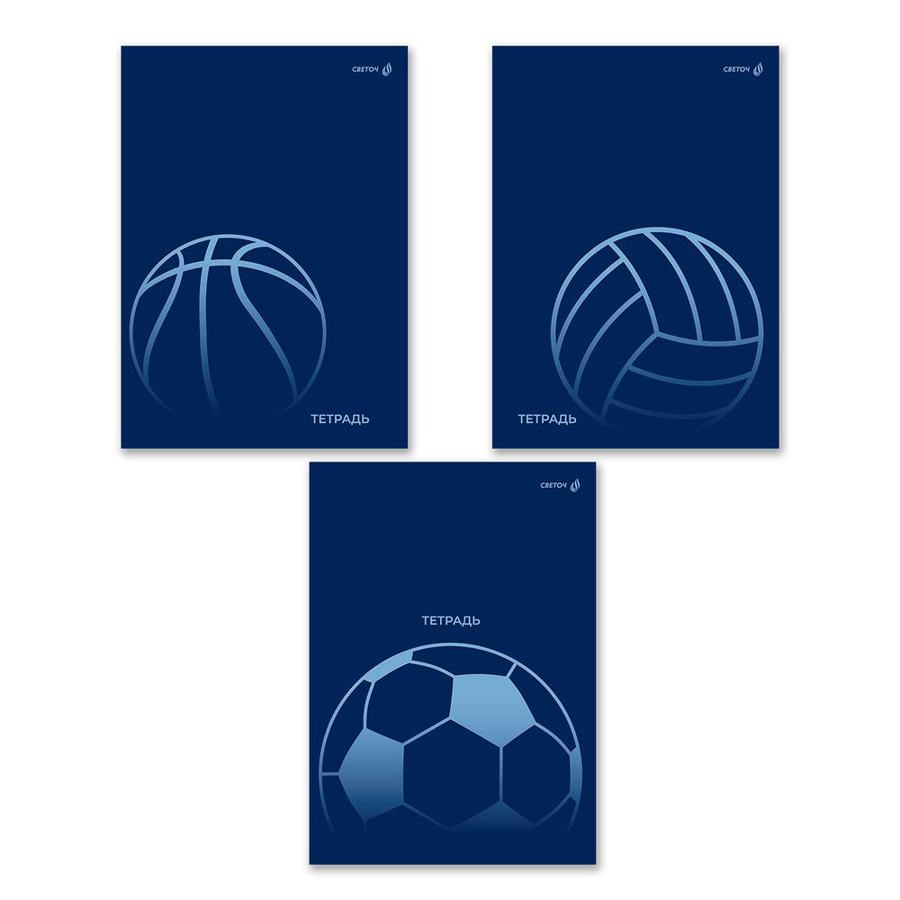 Тетрадь ученическая общая, выборочный лак, A4 48 л. на скобе 65 г/м², белизна 100% 6 шт клетка, 01757 Большой мяч, Светоч Т153