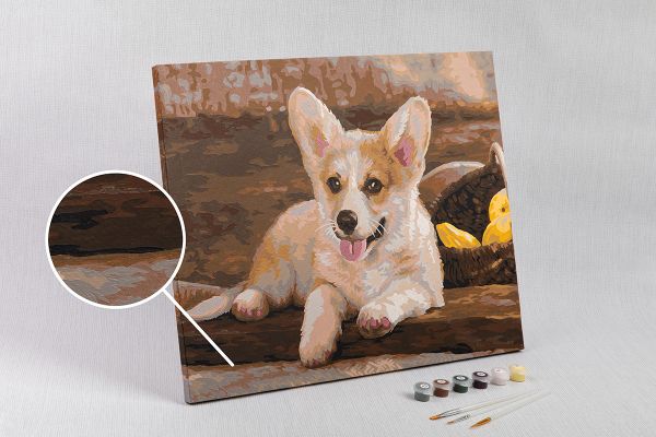Картина по номерам Фрея, Вельш-Корги, 40х50 см