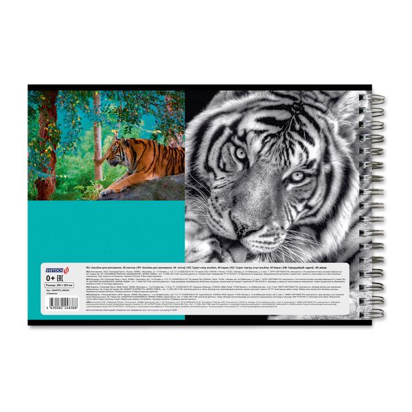 Альбом для рисования, 100 г/м², A4 29х20.5 см, на гребне 40 л., 6 шт, 40АЛГР4_000244 Саванна, Светоч