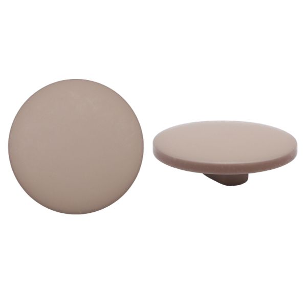 Пуговицы на ножке 32L (20мм) (Beige (бежевый)), 36 шт