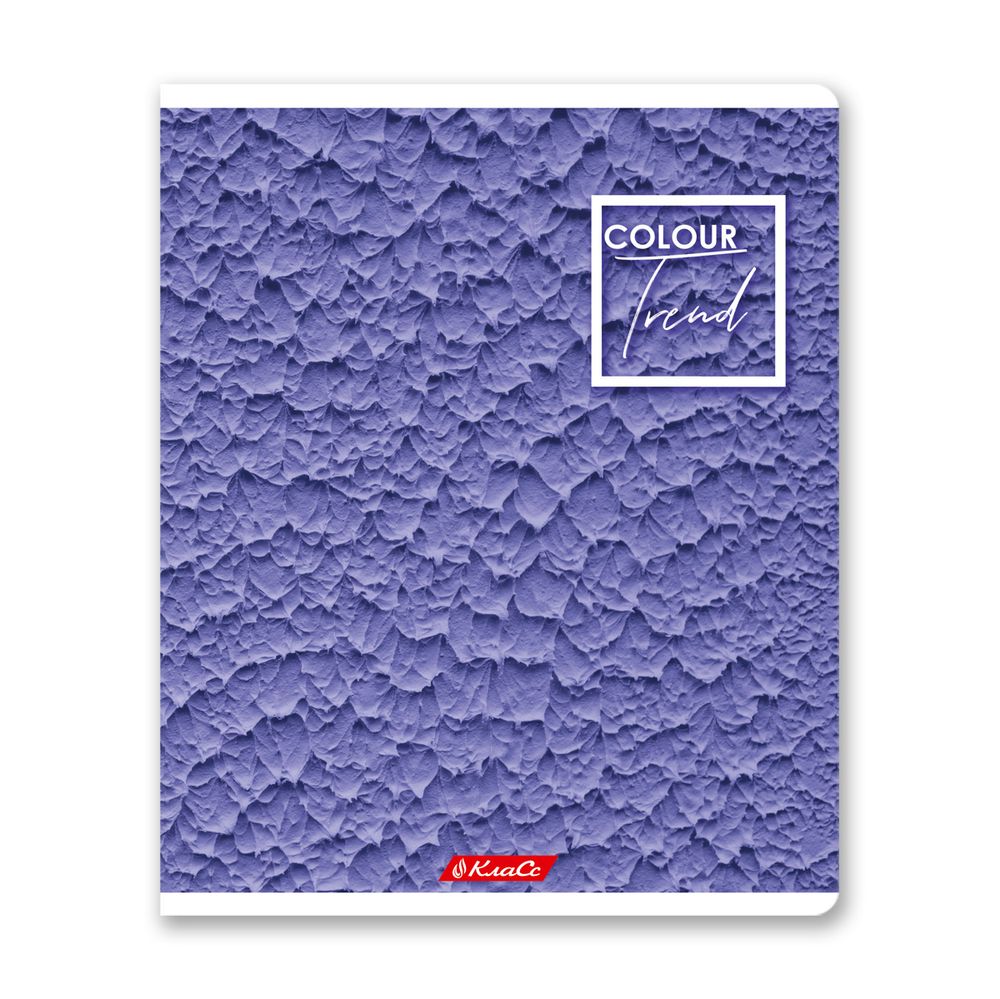 Тетрадь ученическая общая A5+ 48 л. на скобе, белизна 100%, 10 шт, клетка, 000308 Черничный рай, Светоч 48ТСК5_1_3_1