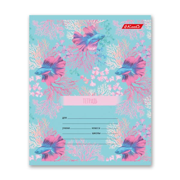 Тетрадь ученическая школьная A5+ 24 л. на скобе 65 г/м², белизна 100% 30 шт, клетка, 000375 Океания, Светоч 24ТСКд5_1_3_1