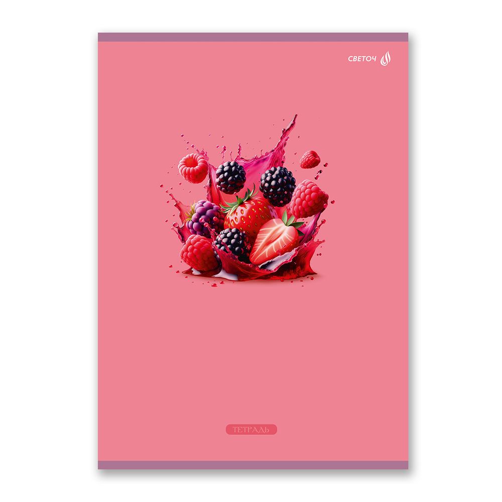 Тетрадь ученическая общая, A4 48 л. на скобе 65 г/м², белизна 100 %, 6 шт, клетка, 01340 Секрет вкуса, Светоч Т152