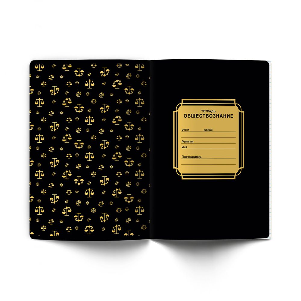 Тетрадь со справочным материалом Золотая коллекция, тиснение золотой фольгой, A5+ 48 л. на скобе 65 г/м², белизна 100 %, 10 шт, клетка, 01333 Золотая коллекция Обществознание, Светоч Т145