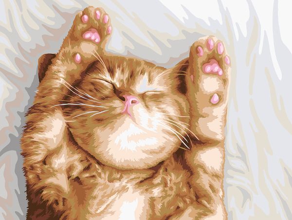 Картина по номерам Фрея PNB/PM-243, Сладкий сон котика, 40х30 см