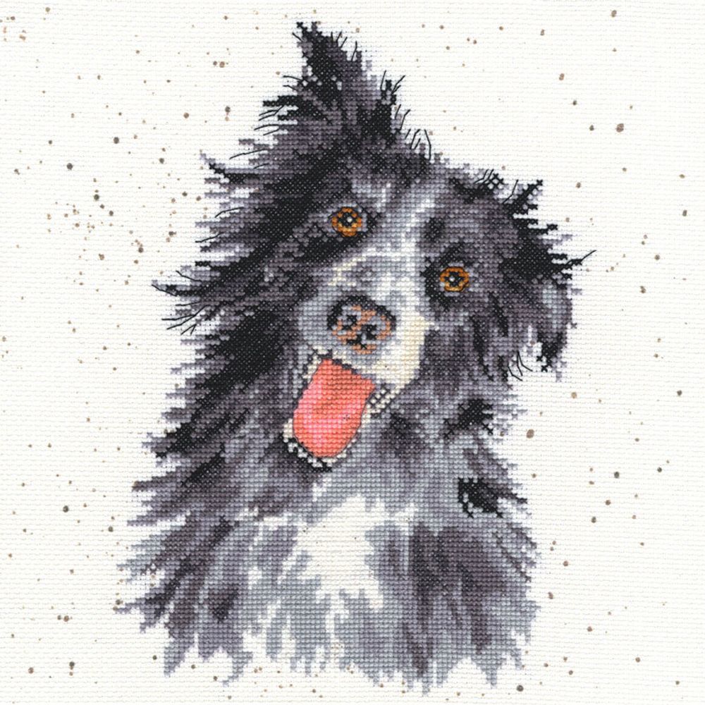 Bothy Threads, Collie (Колли), 26х26 см /TOS/