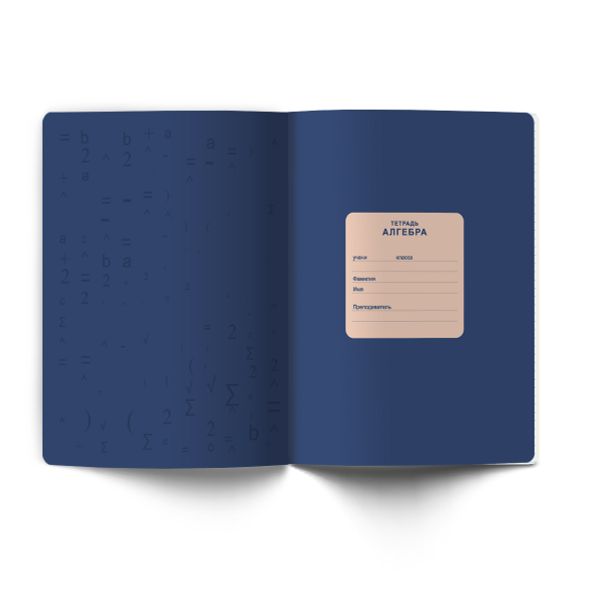 Комплект тетрадей со справочными материалами Лёгким почерком, софт-тач ламинация, A5 48 л. 12 шт на скобе 65 г/м², белизна 100% 1 шт, клетка/линия, 01886 12 предметов, Светоч Т297