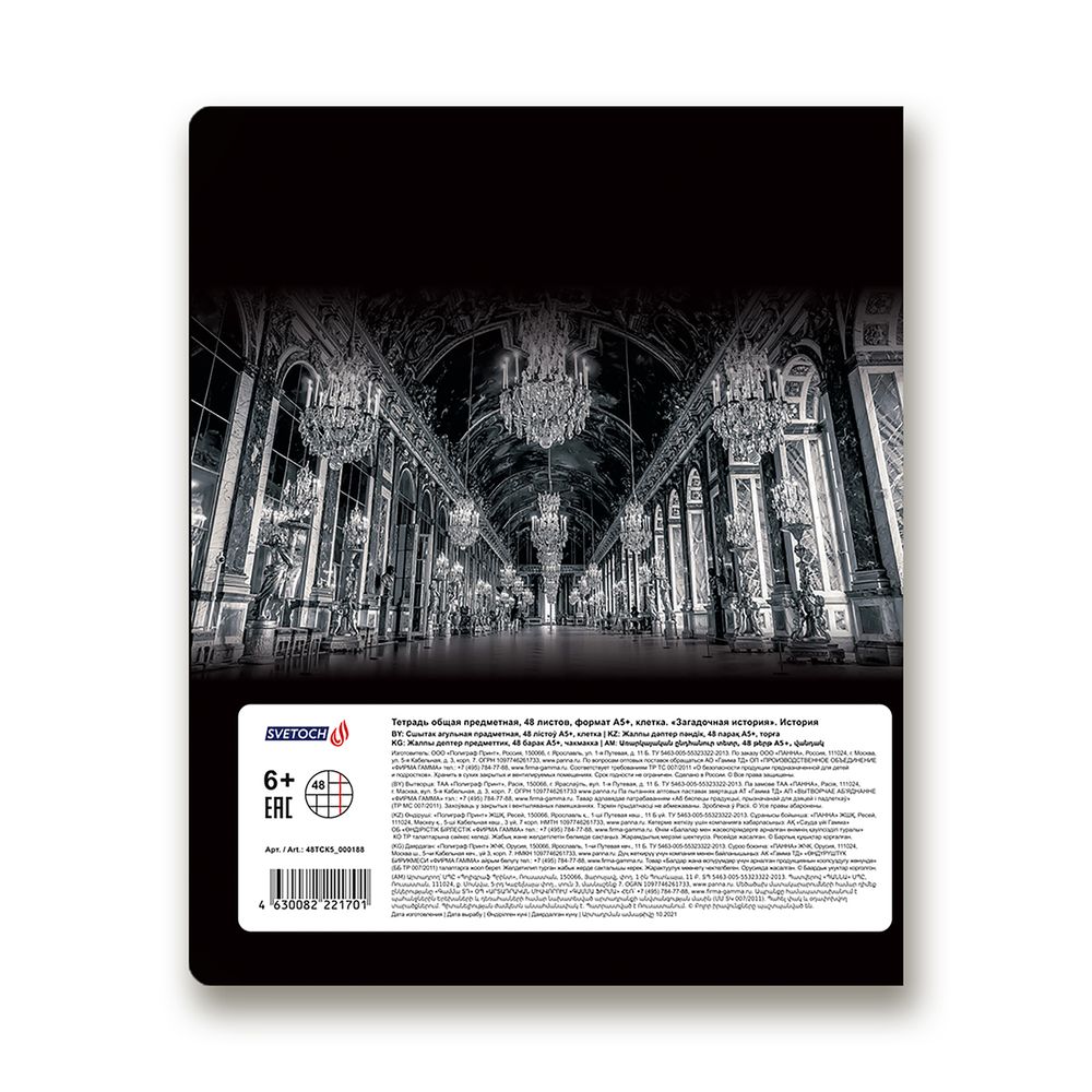 Тетрадь предметная Загадочная история A5+ 48 л. на скобе, белизна 100%, 10 шт, клетка, 48ТСК5/000188 История, Светоч