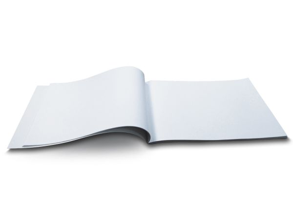 Альбом для рисования 100 г/м², A4 29х20.5 см, 12 л. на скобе, 10 шт, 000690 Таинственный лес, Светоч 12АЛСК4_1_3_9