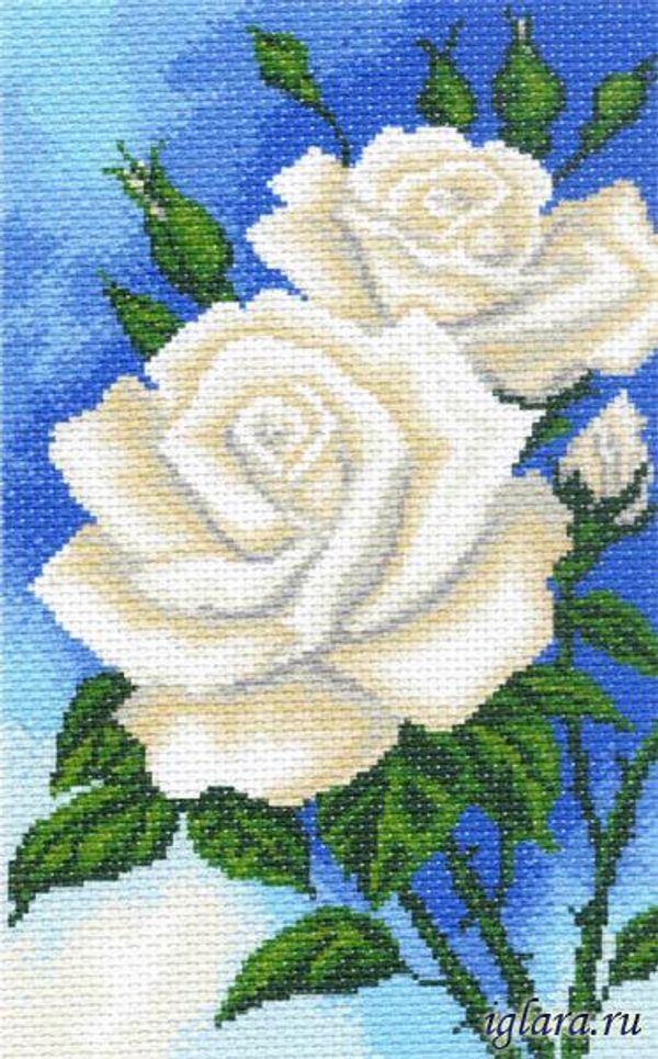 Рисунок на канве розы
