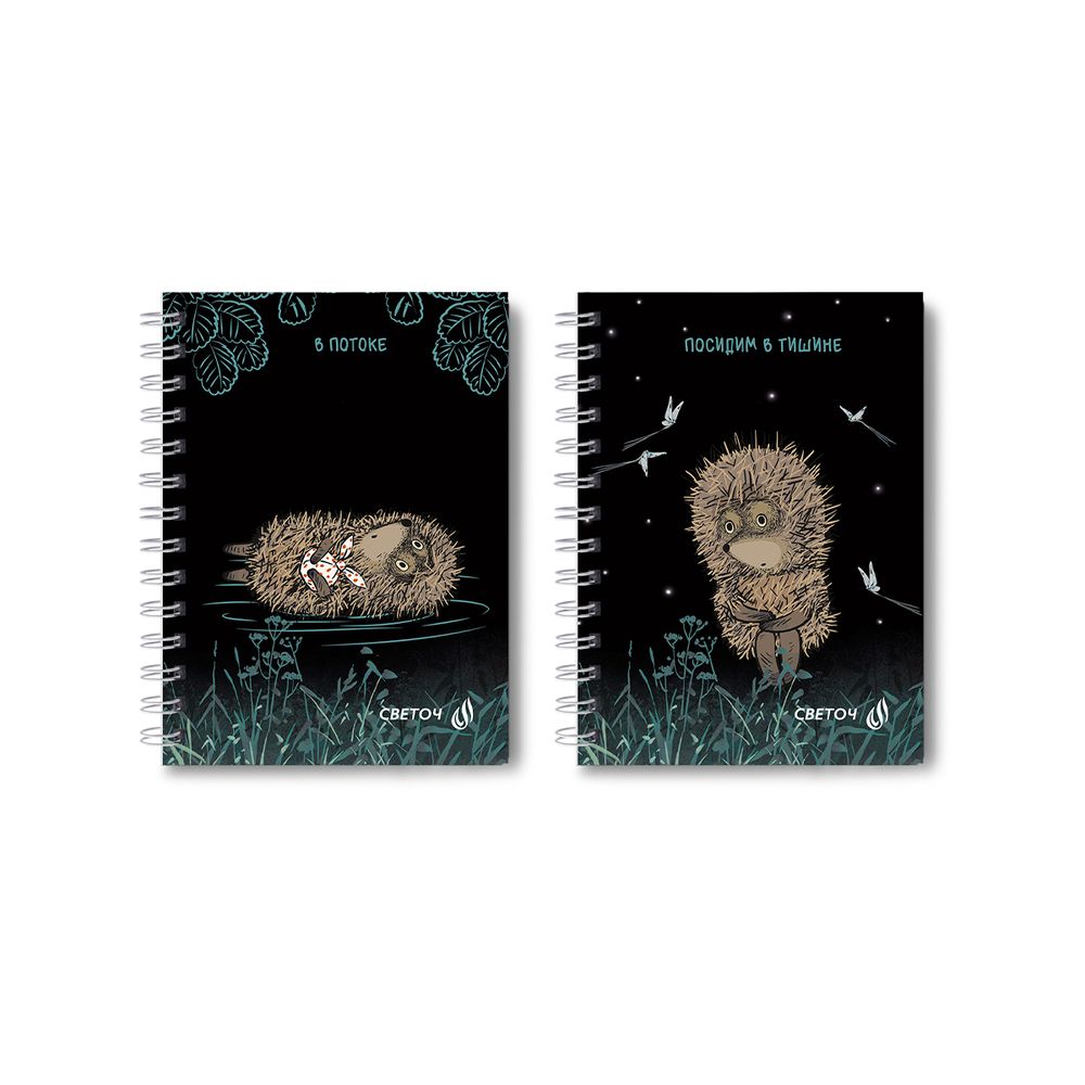 Записная книжка с твердым переплетом, матовая ламинация (лицензия), на гребне A6 120 л. 4 шт клетка, Всё туманно 01590, ЗК225 Светоч