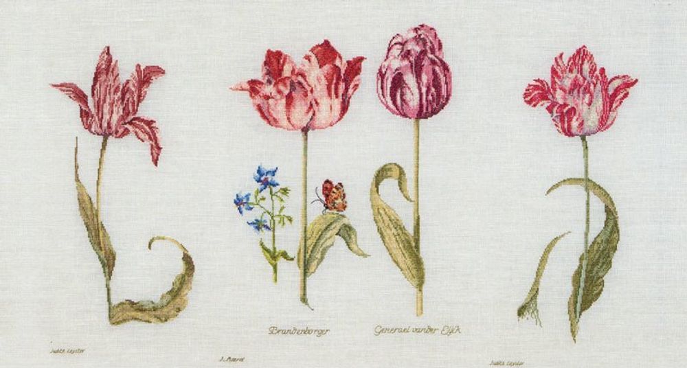 Thea Gouverneur, Тюльпаны Джейкоба Маррель и Джудит Лейстер, 16-й век, 72х42 см /TOS/