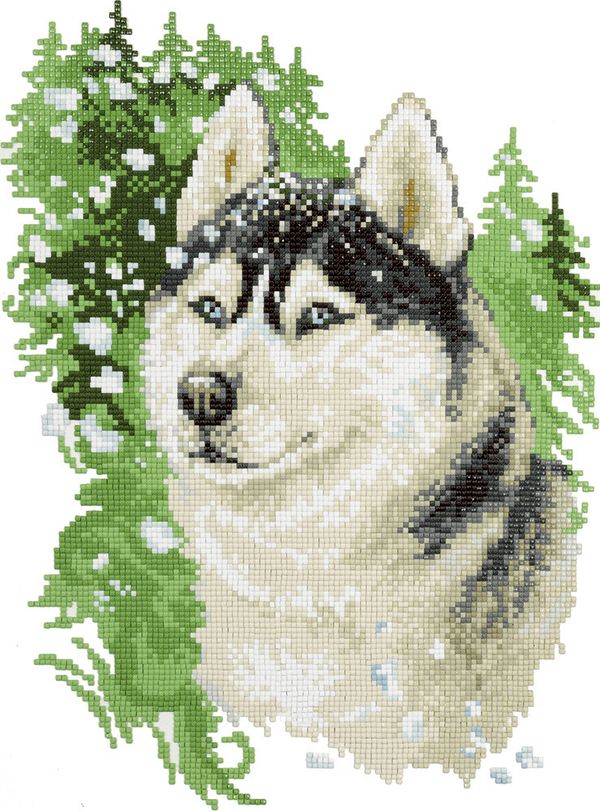 Алмазная (кристальная) мозаика Фрея, Хаски, 34,5х25,5 см