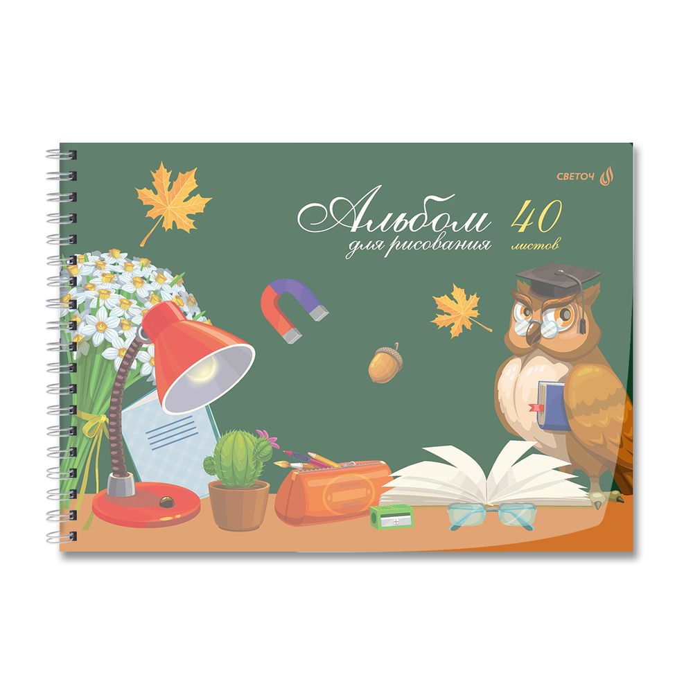 Альбом для рисования с пластик. обложкой 180 мкм, цветной титул лист 100 г/м², A4 29х20.5 см, 40 л. на гребне 5 шт, 01541 Школьный уголок, Светоч А207