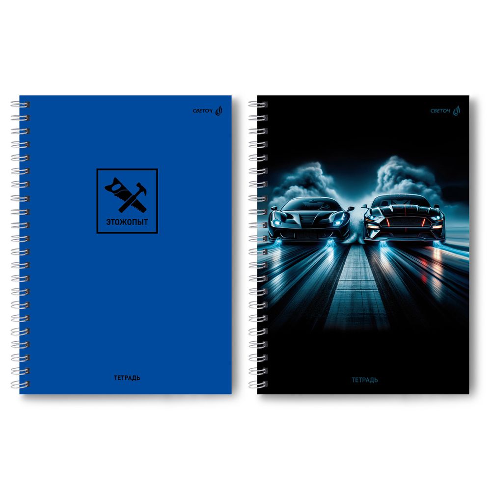 Тетрадь ученическая общая, A4 96 л. на гребне 65 г/м², белизна 100 %, 4 шт, клетка, 01249 Это ж опыт, Светоч Т129