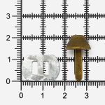 Пукля 1.2х1.2х0.6 см (антик), К3130Д, 50 шт