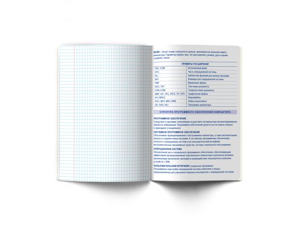 Тетрадь со справочным материалом Линия успеха, софт тач ламинация + тиснение фольгой, A5+ 48 л. на скобе 65 г/м², белизна 100%, 10 шт, клетка, 000580 Информатика, Светоч 48ТПСК5_126_2_1