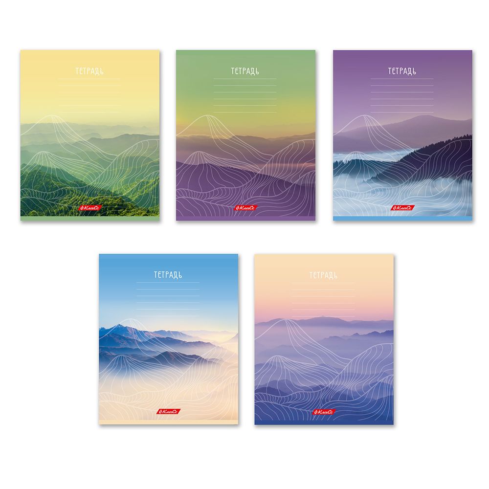 Тетрадь ученическая школьная A5+ 24 л. на скобе 65 г/м², белизна 100% 30 шт, клетка, 000377 Родные просторы, Светоч 24ТСКд5_1_3_1