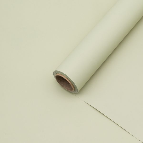 Пленка упаковочная однотонная для цветов и подарков, 65 мкр, 58см / 10м ± 5% (VH2546 молочно-зеленый)