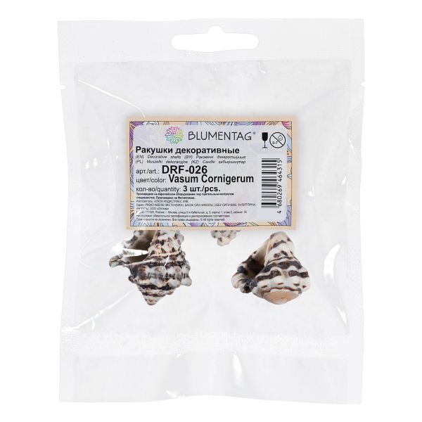 Ракушки декоративные, 3 шт, 6.3 см, Vasum Cornigerum, Zlatka DRF-026