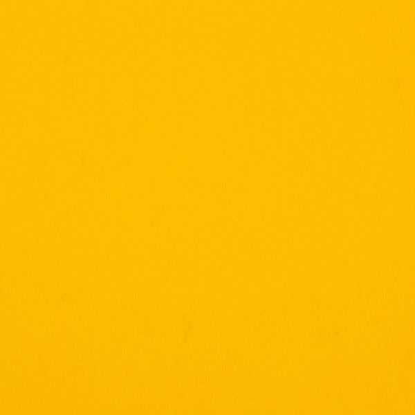 Фетр листовой натуральный 1.2 мм, 30х45 см, 100% шерсть, 16/6-7 желтый, Gamma Pano 1