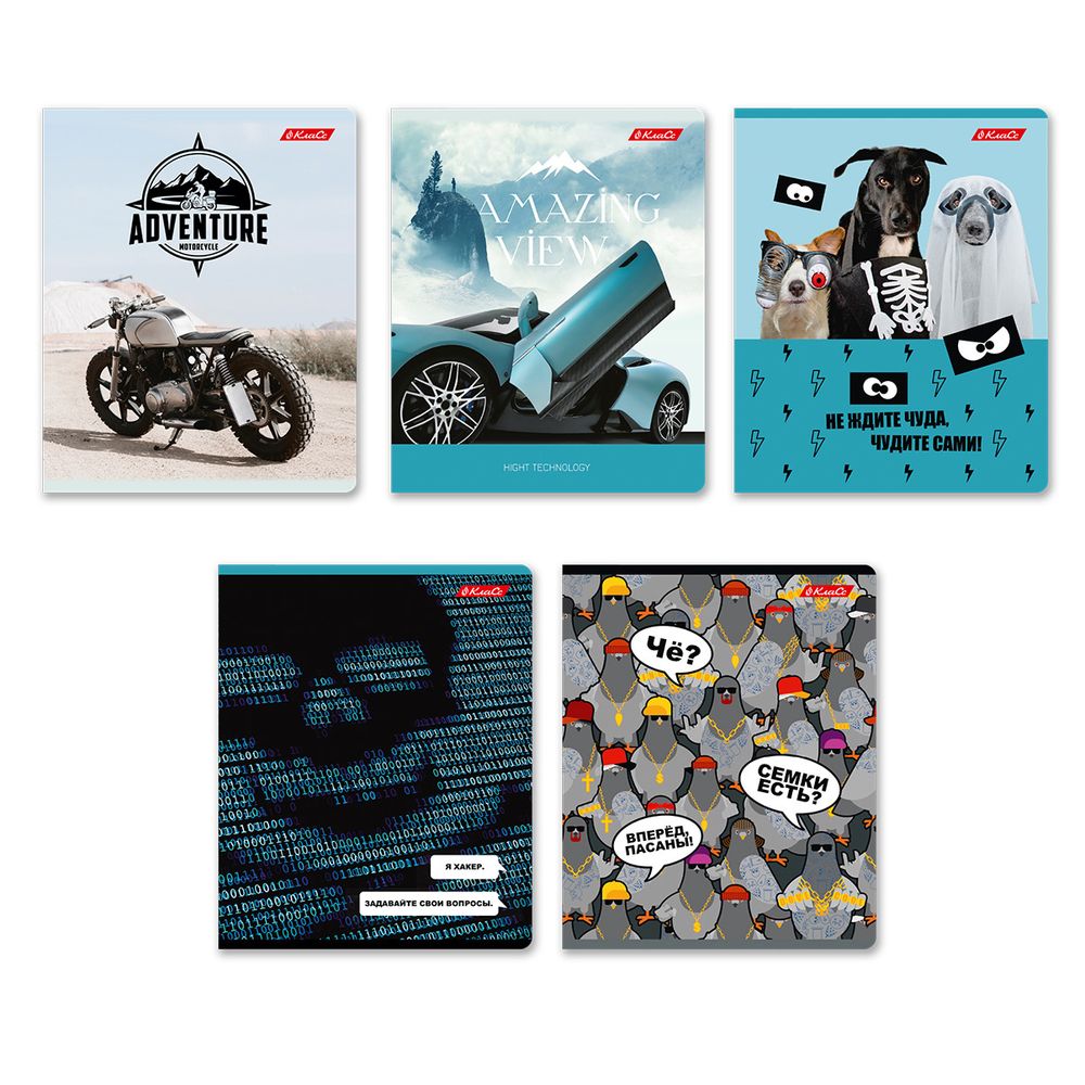 Тетрадь ученическая общая, A5+ 48 л. на скобе 65 г/м², белизна 100%, 10 шт, клетка в термоусадочной пленке, 000727 Чудите с нами!, Светоч 48ТЕТк-001