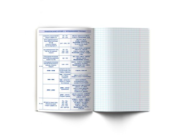 Тетрадь со справочным материалом ПреКрасная, матовая ламинация + выборочный лак, A5+ 48 л. на скобе 65 г/м², белизна 100%, 10 шт, линия, 000553 Русский язык, Светоч 48ТПСК5_24_2_2