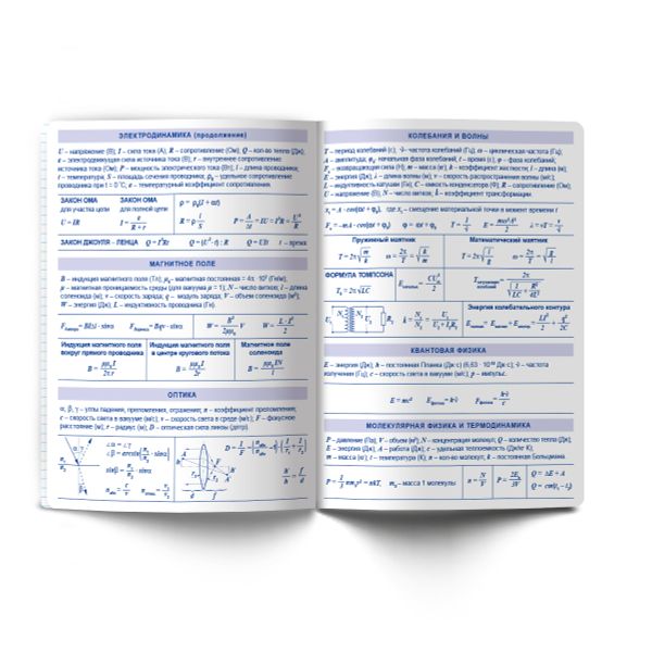 Тетрадь со справочным материалом Большая перемена, выбор.лак, A5 48 л. на скобе 65 г/м², белизна 100% 10 шт клетка, 01817 Большая перемена Физика, Светоч Т280