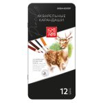 Карандаш акварельный в наборе заточенный 2х12 цв, в металлической коробке, Аква-колор