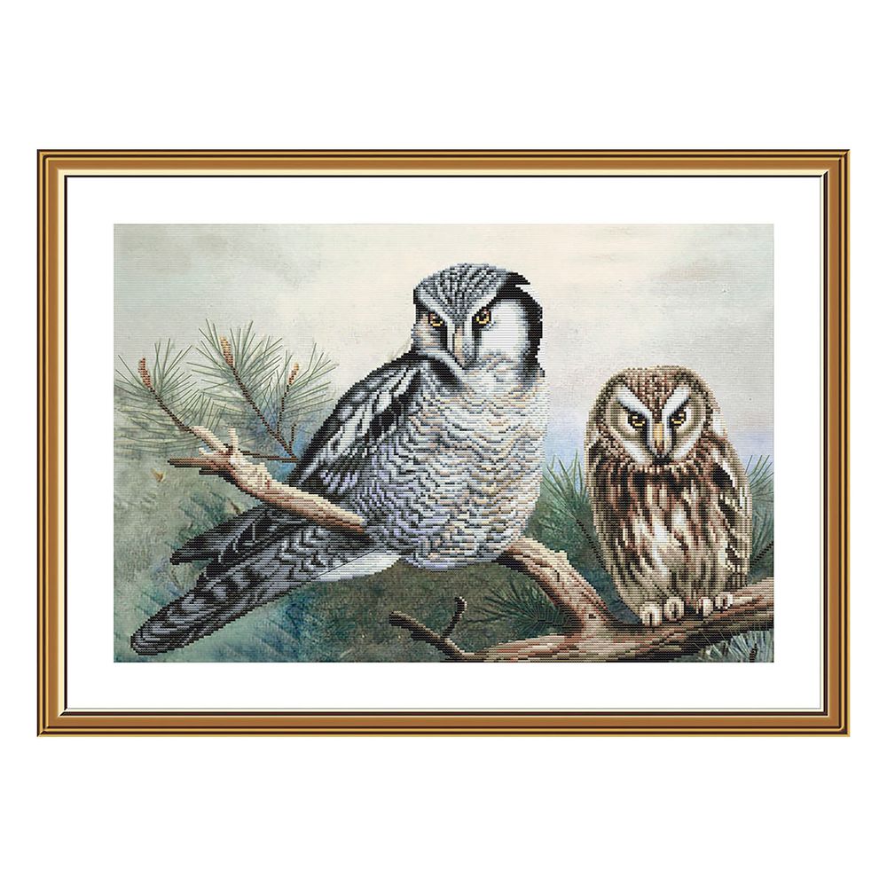 Набор для вышивания нитками Нова Слобода, Совушки43х28 см