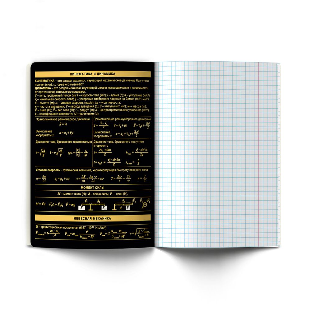 Тетрадь со справочным материалом Золотая коллекция, тиснение золотой фольгой, A5+ 48 л. на скобе 65 г/м², белизна 100 %, 10 шт, клетка, 01330 Золотая коллекция Физика, Светоч Т145