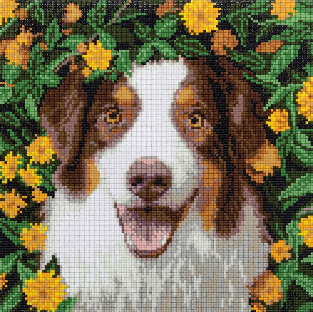 Кристальная (алмазная) мозаика Фрея ALPD-222, на подрамнике, Радостный пес, 30х30 см
