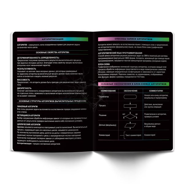 Тетрадь предметная Загадочная история A5+ 48 л. на скобе, белизна 100%, 10 шт, клетка, 48ТСК5/000193 Информатика, Светоч