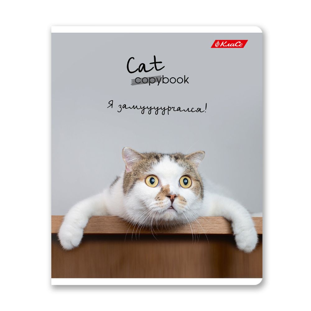 Тетрадь ученическая общая, A5+ 96 л. на скобе 60 г/м², белизна 100%, 5 шт, клетка в термоусадочной пленке, 000790 Улыбмяус, Светоч 96ТЕТк-001