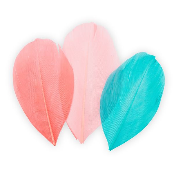 Перья декоративные 5-6 см, 5х3 г,±0.5 г, 23 Коралловый/бирюзовый, Mr.Painter