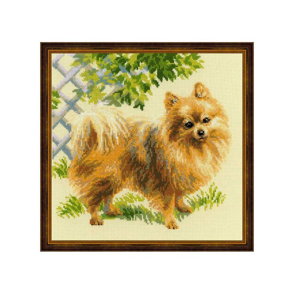 Набор для вышивания нитками Риолис, Малый шпиц, 25х25 см