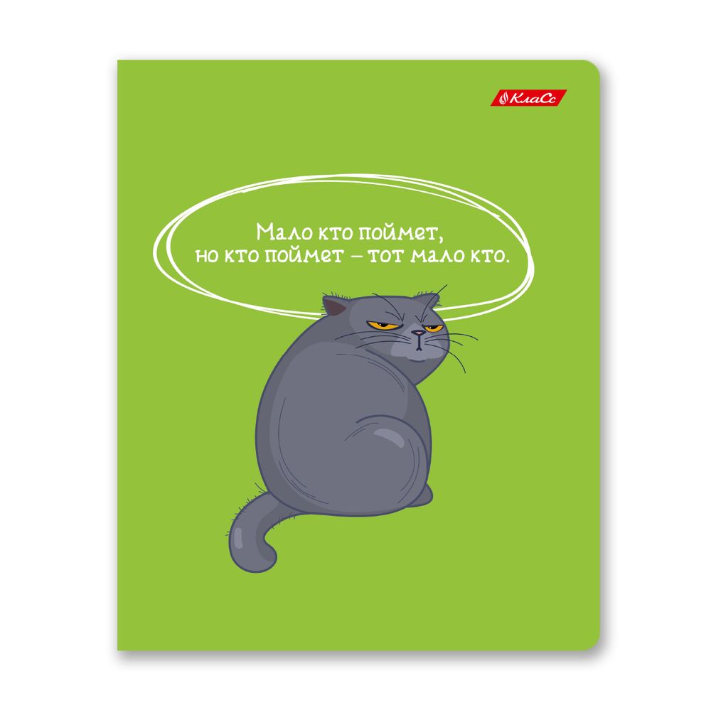 Тетрадь ученическая общая, A5+ 40 л. на скобе 65 г/м², белизна 100%, 10 шт, клетка в термоусадочной пленке, 000475 Слово не воробей, Светоч 40ТСК5_0_2_1