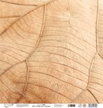 Бумага для скрапбукинга Вокруг меня. Бежевый 190 г/м², 30.5х30.5 см, 10 шт, 2, Mr.Painter PSR 2605