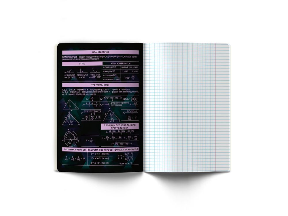 Тетрадь со справочным материалом Эволюция, глянцевая ламинация, A5+ 48 л. на скобе 65 г/м², белизна 100%, 10 шт, клетка, 00879 Геометрия, Светоч 48Т5