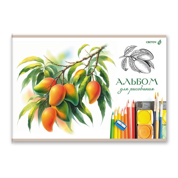 Альбом для рисования 100 г/м², A4 29.5х20.2 см, 40 л. на скобе 5 шт, 01714 МИКС Цветные зарисовки, Светоч А258