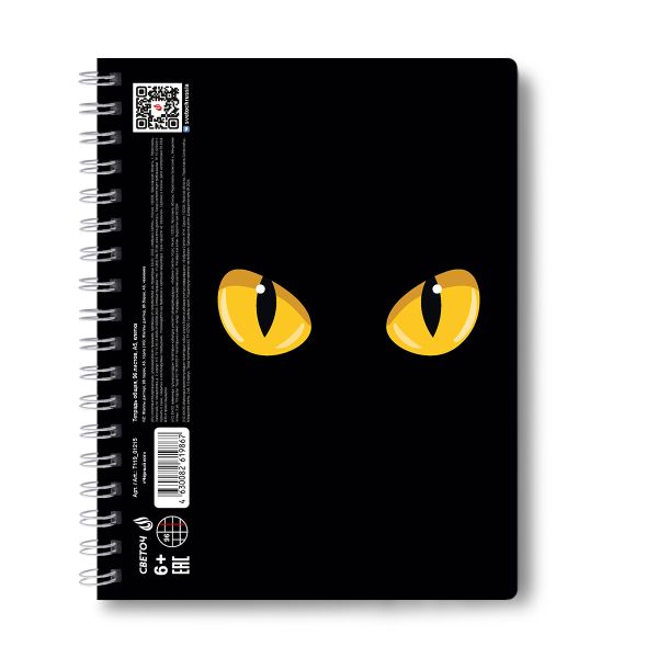 Тетрадь-перевертыш ученическая общая, A5 96 л. на гребне 65 г/м², белизна 100 %, 4 шт, клетка, 01215 Чёрный кот, Светоч Т119