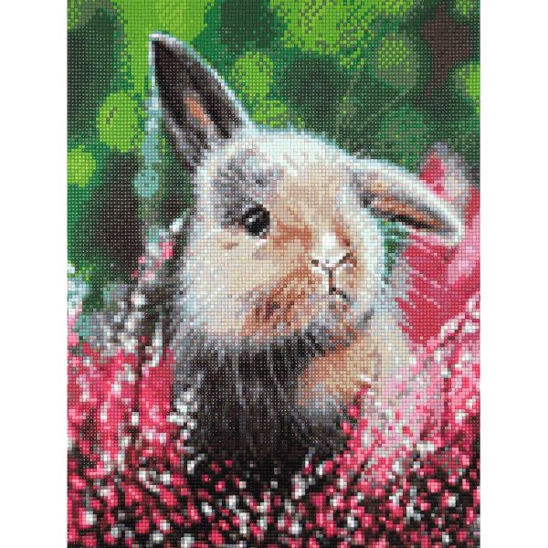 Алмазная (кристальная) мозаика Cristyle, Зайка, 30х40 см