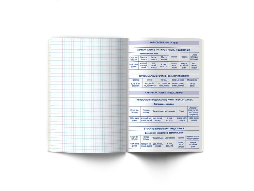 Тетрадь со справочным материалом АниМания, выборочный лак, A5+ 48 л. на скобе 65 г/м², белизна 100%, 10 шт, линия, 000565 Русский язык, Светоч 48ТПСКа5_4_2_2