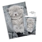 Пазл 500 элементов, Комочек тепла, PZL-500/27, Фрея