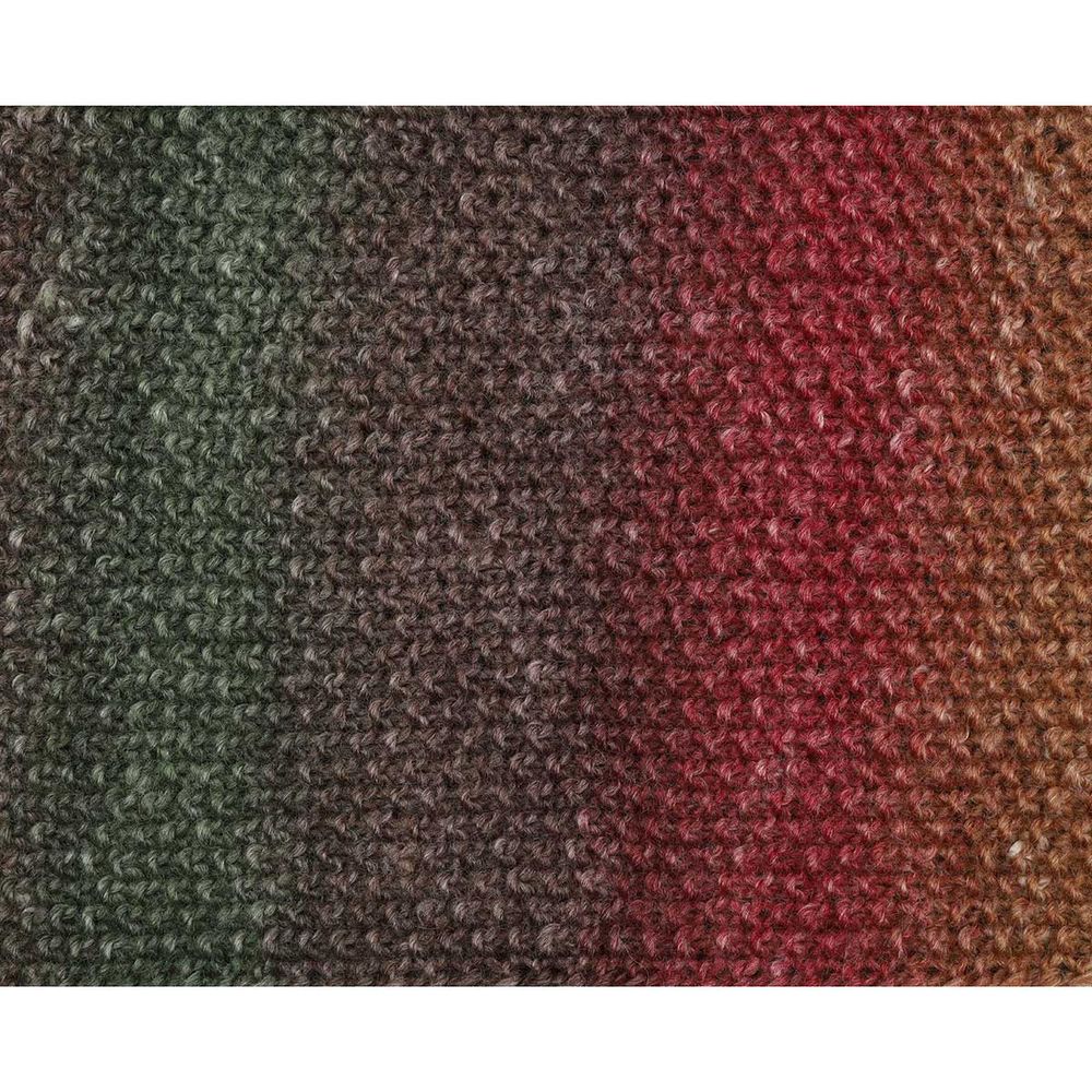 Пряжа Astra Premium (Астра Премиум) Панда Колор / уп.3 мот. по 100 г, 240 м, 06 секционный