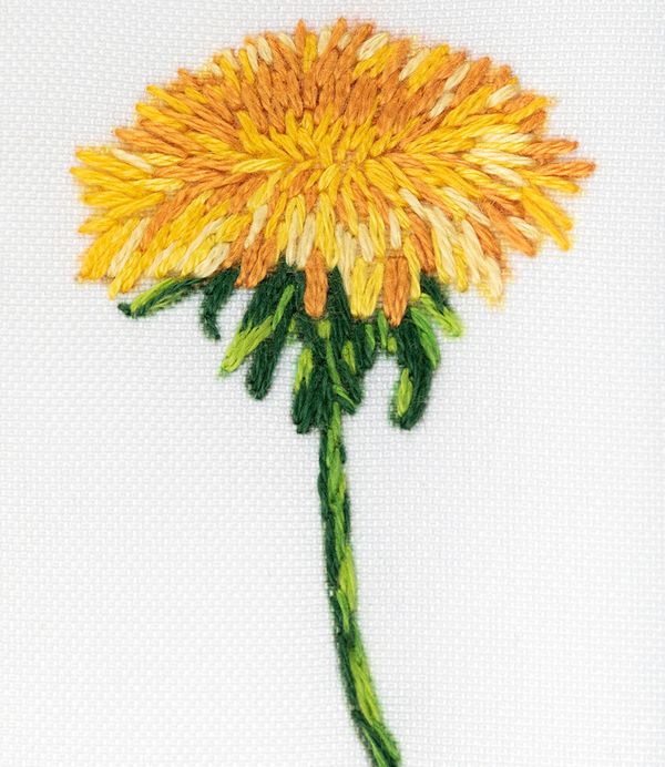 Набор для вышивания нитками Panna, Живая картина. Паттерн. Одуванчики, 24х30 см