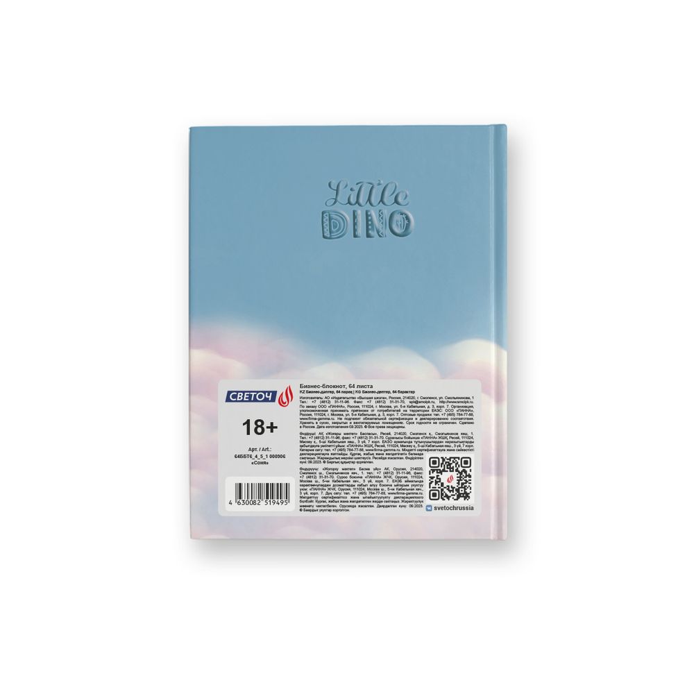 Бизнес-блокнот, глянцевая ламинация, A6 64 л. 24 шт, клетка, Соня 000906, Светоч 64ББТ6_4_5_1