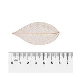 Листья скелетированные 2-6 см, 50 шт (5х10 шт), 04 золотистый, Mr.Painter SFL-01