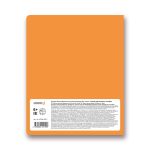 Комплект предметных тетрадей Грызем гранит науки A5+ 48 л. 12 шт, на скобе клетка/линия, Алгебра, Английский, Биология, География, Геометрия, Физика, Химия, История, Русский, Литература, Обществознание, Информатика, Светоч