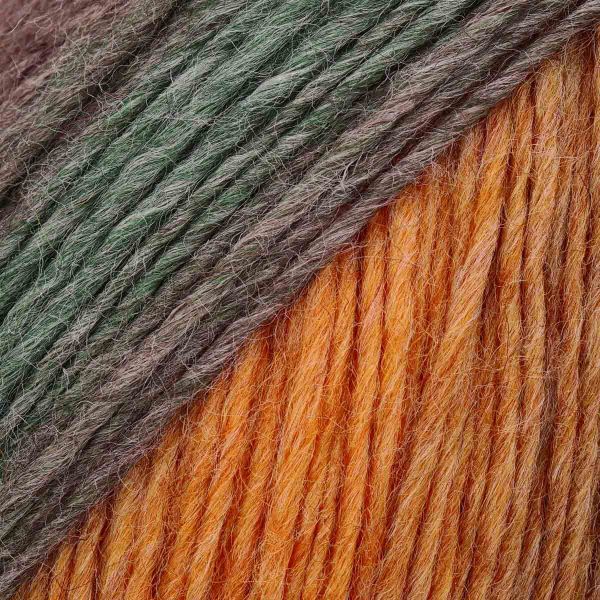 Пряжа Astra Premium (Астра Премиум) Панда Колор / уп.3 мот. по 100 г, 240 м, 06 секционный